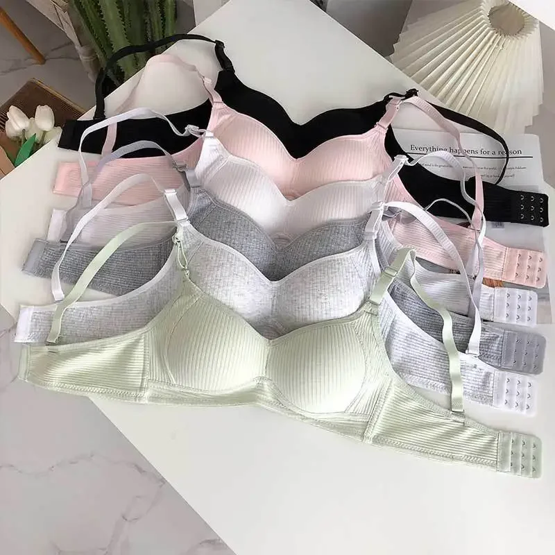 ผู้หญิงไม่มีรอยต่อชุดชั้นในกาง - Cotton Bra Everyday บทวิจารณ์และราคา